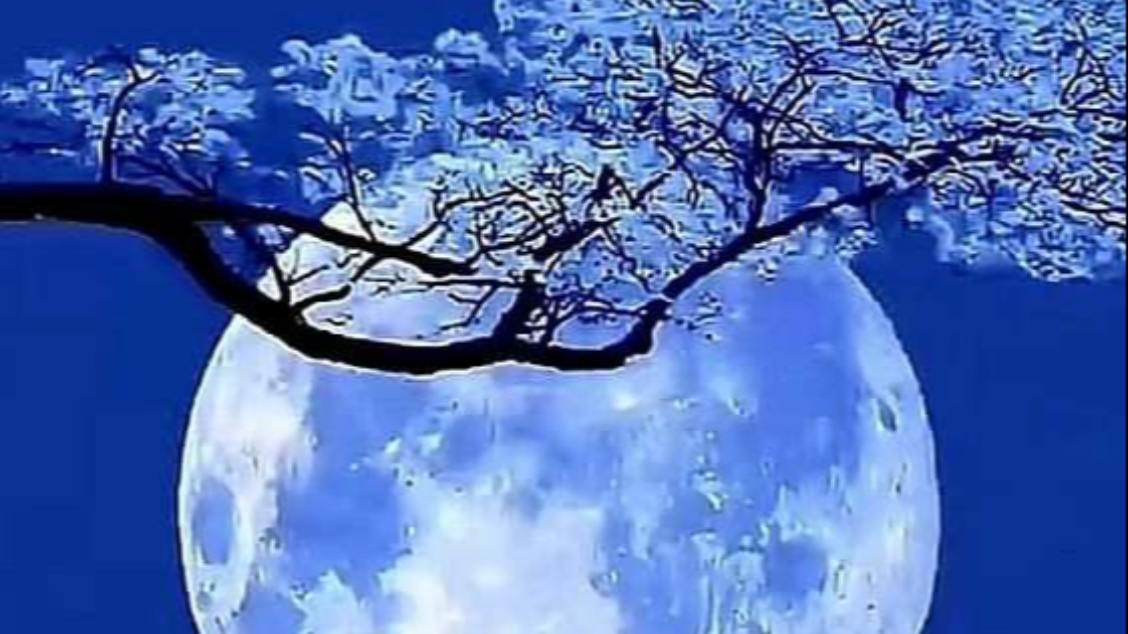 Imagem do evento Ghost Inpector