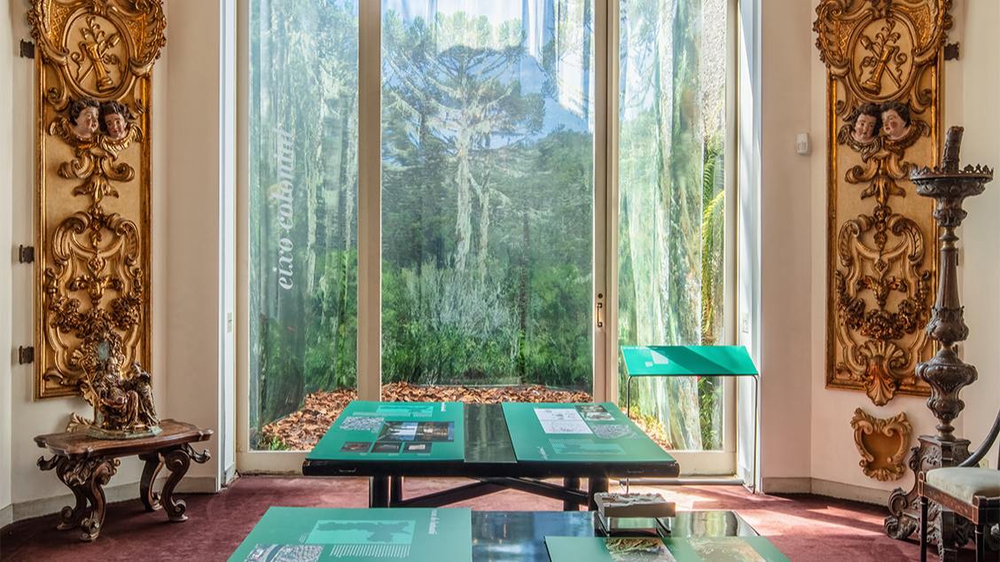 Imagem do evento Palestras presencial - Quando São Paulo era Piratininga: arqueologia paulistana