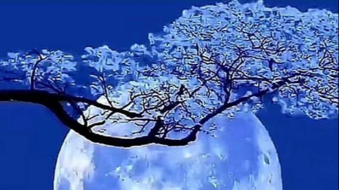 Imagem do evento Ghost