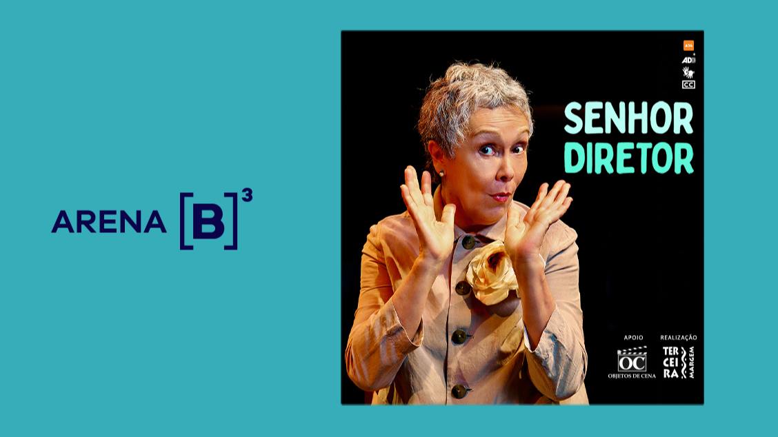 Imagem da fonte — SENHOR DIRETOR