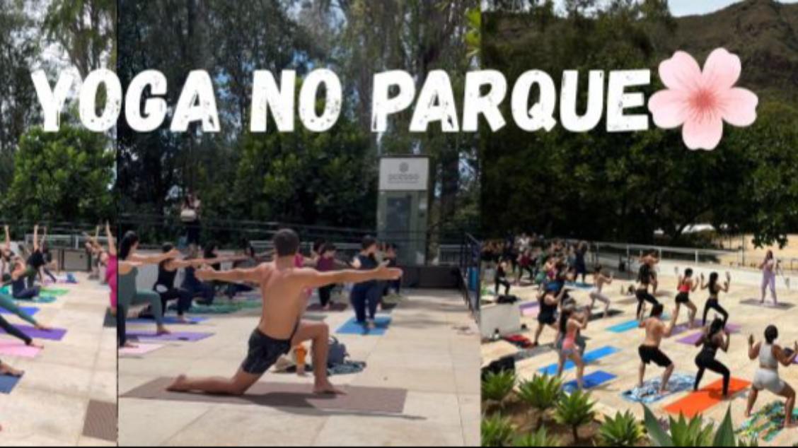 Imagem do evento Aula Solidária de Yoga no Parque do Palácio 🌳
