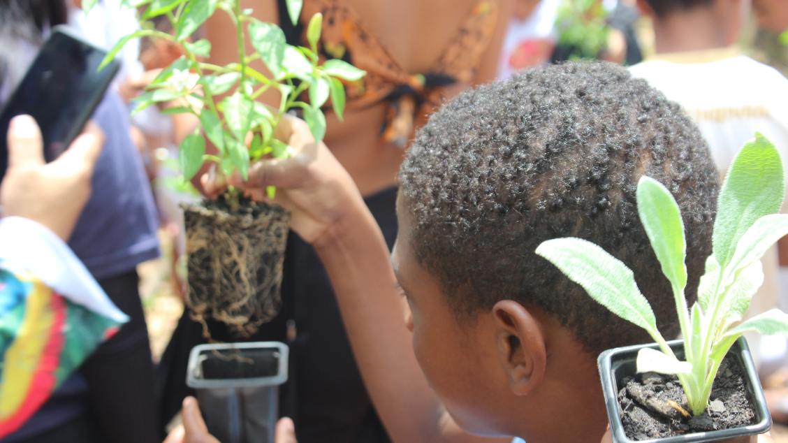 AGROFLORESTINHA - Oficina de Plantio -  04, 18 e 23/03 às 11h