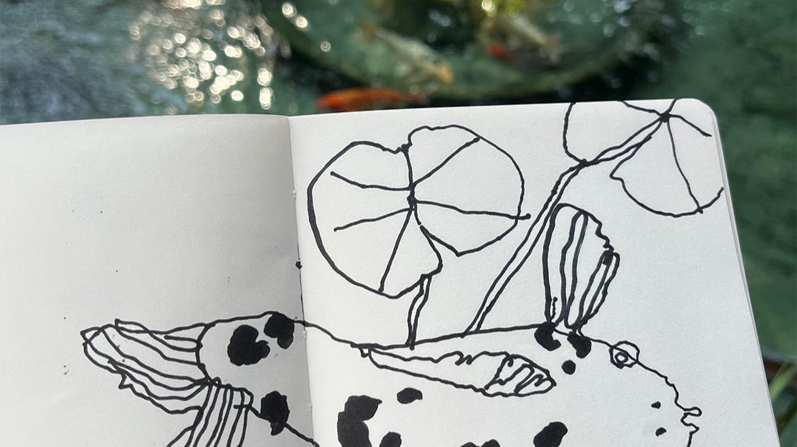 Imagem do evento Desenhos feios: oficina de observação expandida