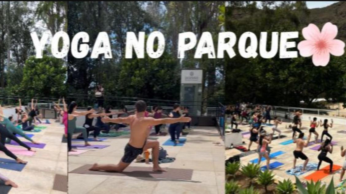 Imagem do evento Aula Solidária de Yoga no Parque do Palácio 🌳