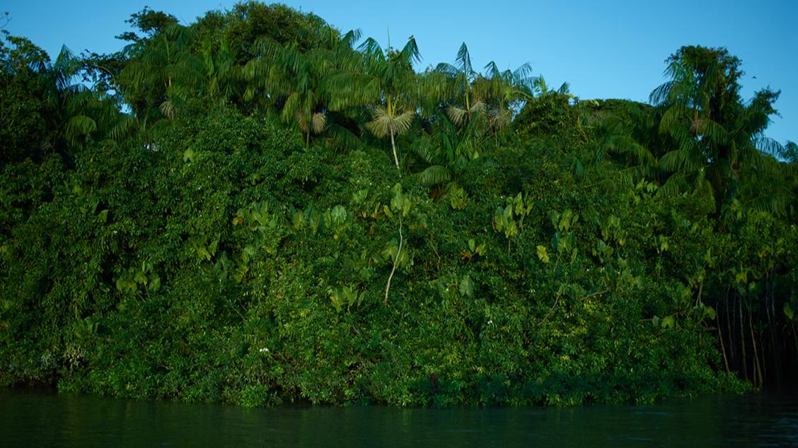 Imagem do evento Caminhada Fotográfica com Bob Wolfenson