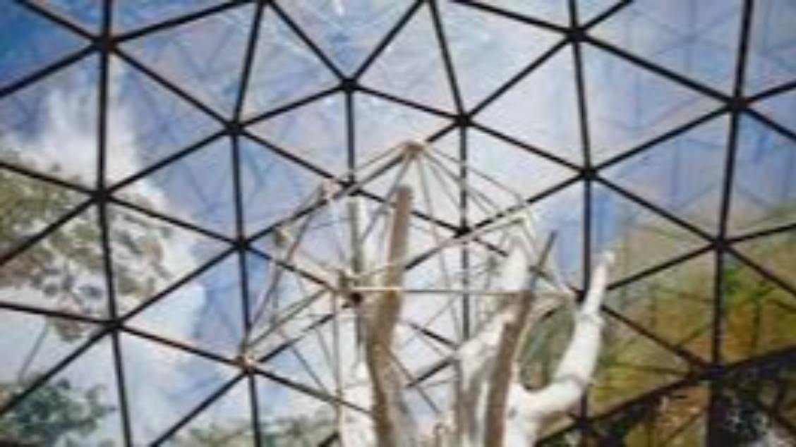 Imagem do evento [Teste] Museu Matthew Barney