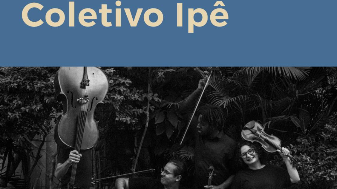 COLETIVO IPÊ : PROJETO INTEGRASONS