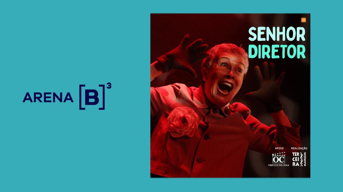 SENHOR DIRETOR