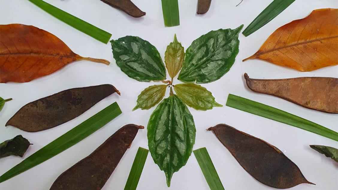 Imagem do evento Museu em Família  Oficina de mandala com elementos naturais